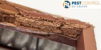 Timber Inspection Brisbane image 3